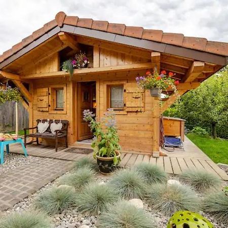 Le Chalet Des 3 Ours Neuvecelle المظهر الخارجي الصورة